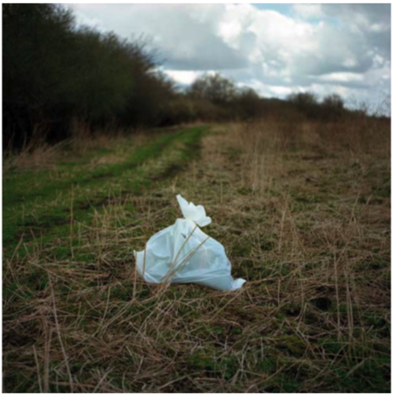 White Trash — GUP